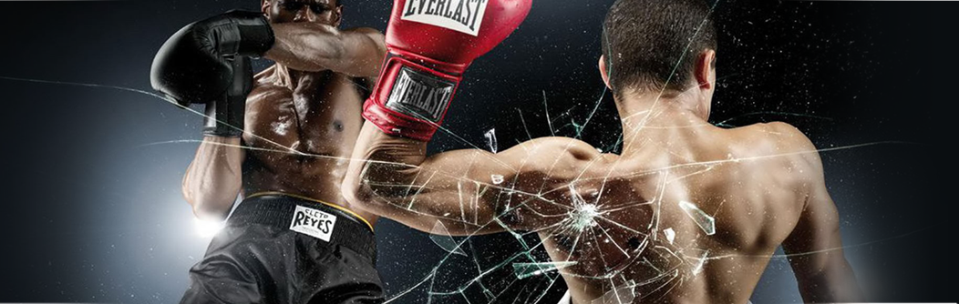 Image d'en-tête représentant deux boxers.