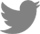 Icon de twitter.